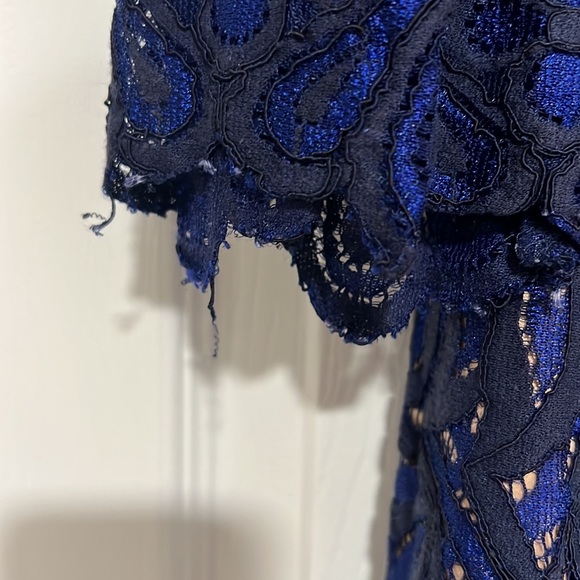 Eliza J Fit n Flare Dress - Picture 6 of 8